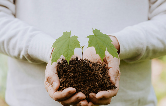 Comment investir dans le développement durable