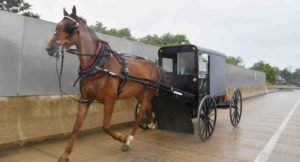 Un Amish qui vous veut du bien