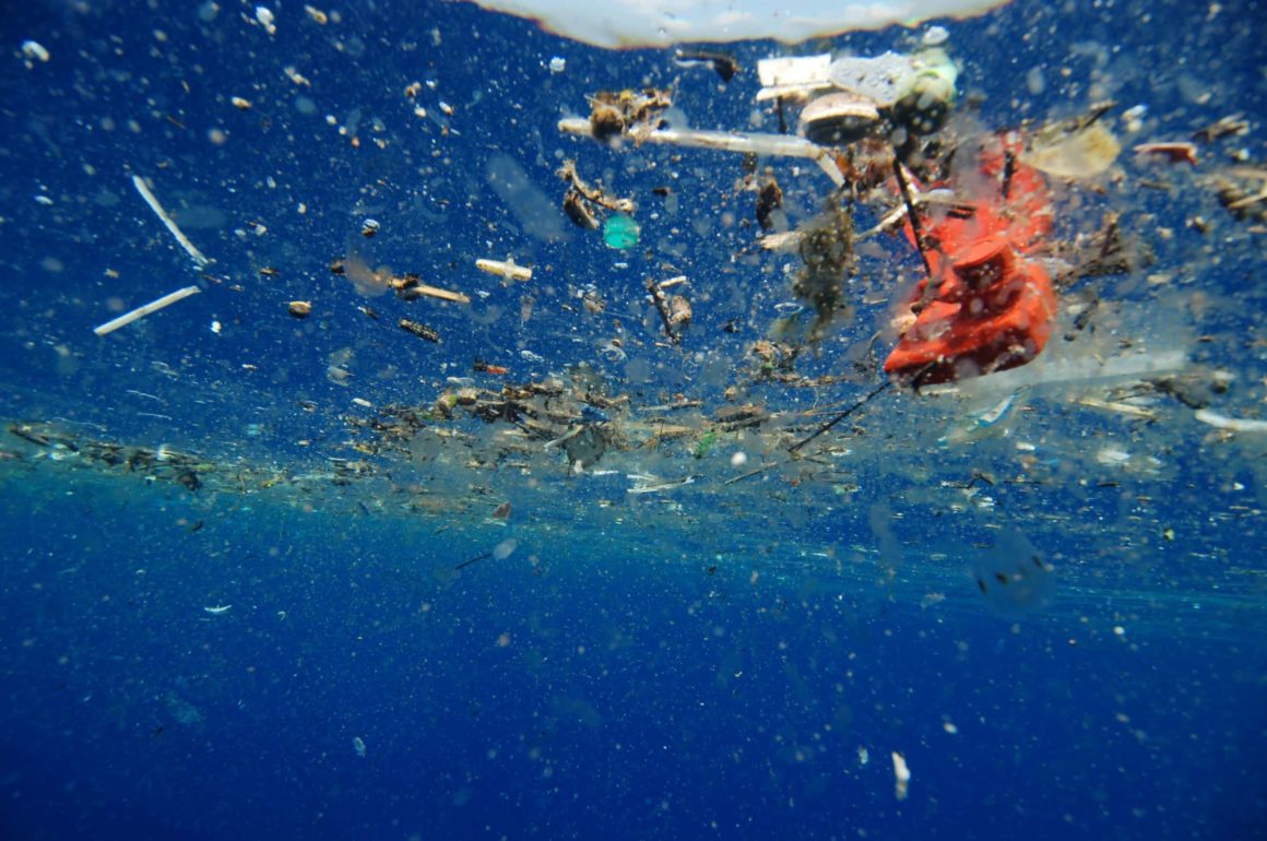eurodéputés se prononcent sur l'interdiction des objets en plastiques sauvages news