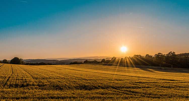 Paysage qui donne envie de se promener afin d'avoir une activité physique pour prévenir le cancer